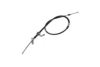 ASHUKI 1179-2050 Cable, parking brake